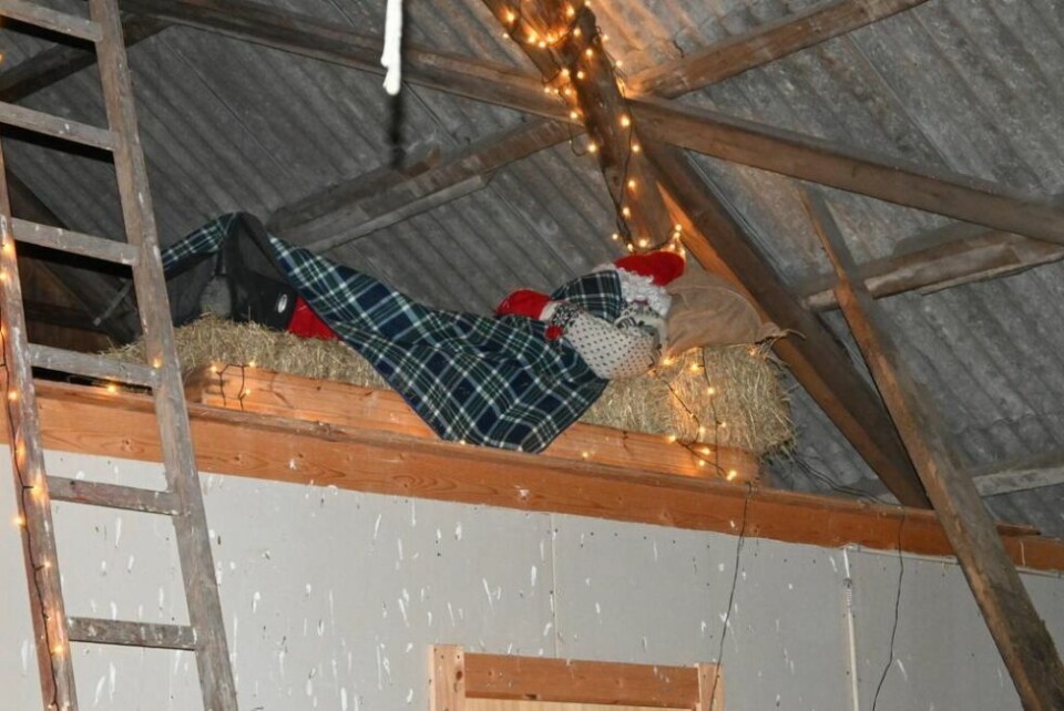 RETT I SOVING. Det tar på å reise, selv for fjøsnissen. Han gikk straks opp stigen for å legge seg nedpå like etter ankomsten onsdag. RETT I SOVING. Det tar på å reise, selv for fjøsnissen. Han gikk straks opp stigen for å legge seg nedpå like etter ankomsten onsdag. Foto: Kenneth Strømsvåg