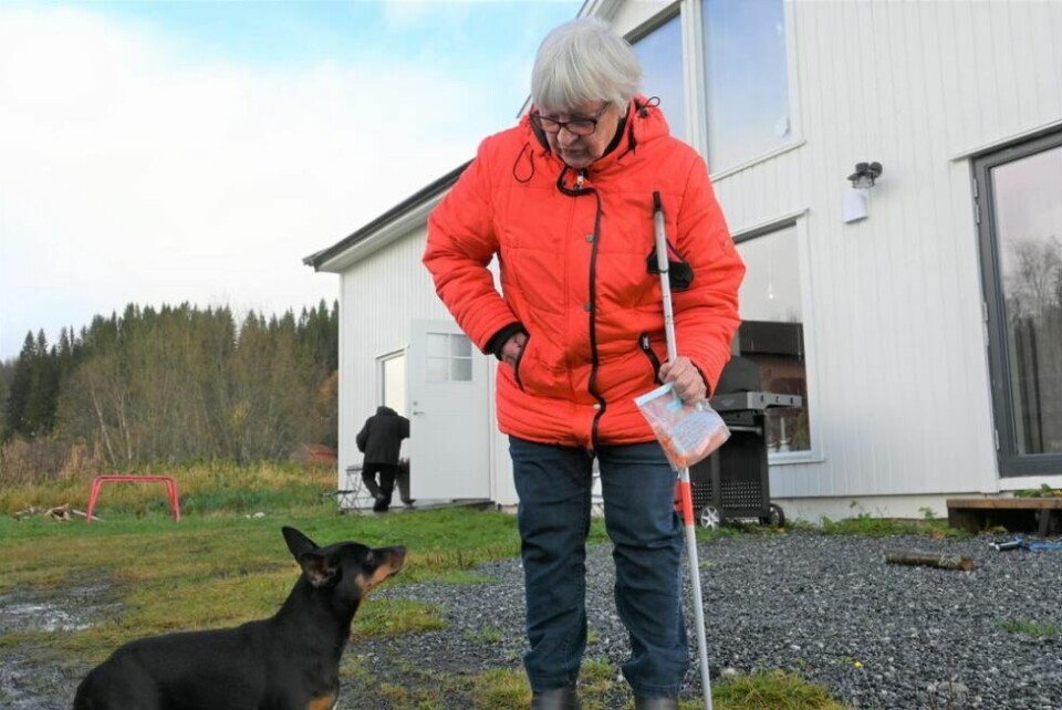 Venter på godbit. Synøve Langø har både med seg gulrøtter til hestene og godbiter til gårdshunden hver tirsdag. - De må jo også få noe godt, sier hun. Venter på godbit. Synøve Langø har både med seg gulrøtter til hestene og godbiter til gårdshunden hver tirsdag. - De må jo også få noe godt, sier hun.