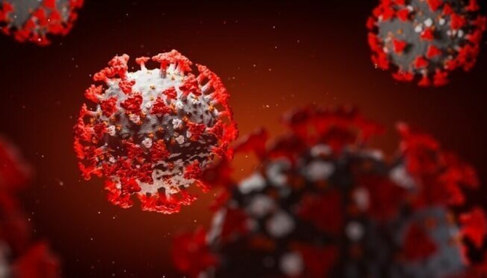 To nye smittetilfeller i Salten i løpet av helgen Foto: Illustrasjon