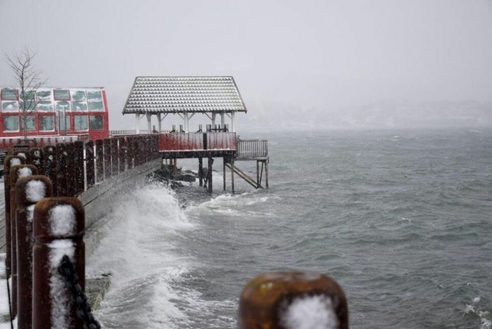 MYE VIND. Slik kan det se ut på Strandpromenaden en vinterdag. Nå blir det full til sterk storm langs kysten i Nordland. Arkivfoto: Frida Kalbakk MYE VIND. Slik kan det se ut på Strandpromenaden en vinterdag. Nå blir det full til sterk storm langs kysten i Nordland. Arkivfoto: Frida Kalbakk