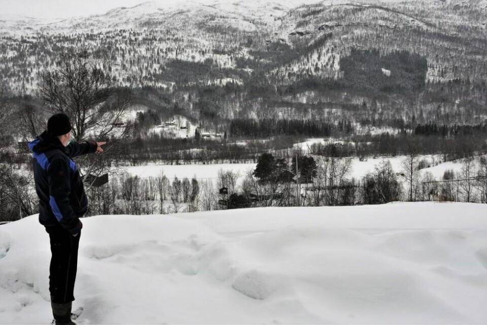 VIL BEVARE MATJORD. Knut Henrik Leithe står utenfor huset sitt og viser hvor skolen er planlagt, nedenfor bakken, på denne siden av furutrærne. Han mener det er ironisk å bedrive sentralisering og nedbygging av matjord i Sp-kommunen Beiarn. VIL BEVARE MATJORD. Knut Henrik Leithe står utenfor huset sitt og viser hvor skolen er planlagt, nedenfor bakken, på denne siden av furutrærne. Han mener det er ironisk å bedrive sentralisering og nedbygging av matjord i Sp-kommunen Beiarn. Foto: Lars Olav Handeland