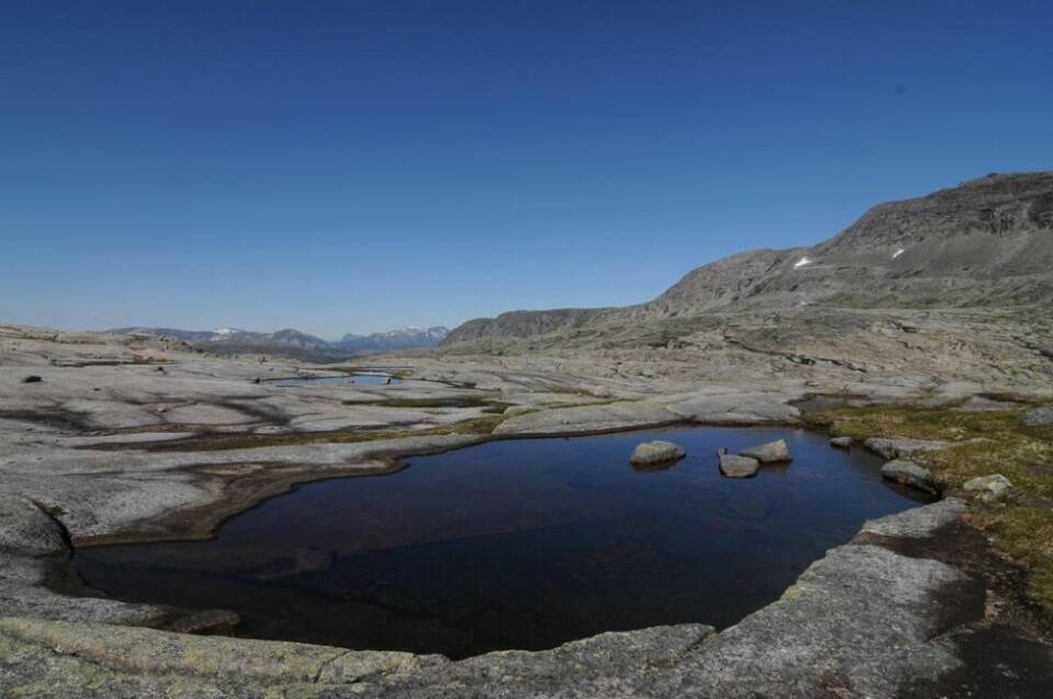 GOLDT. Blankskurte berg kjennetegner Rago i høyden. GOLDT. Blankskurte berg kjennetegner Rago i høyden. Foto: Lars-Magnus Kvamme