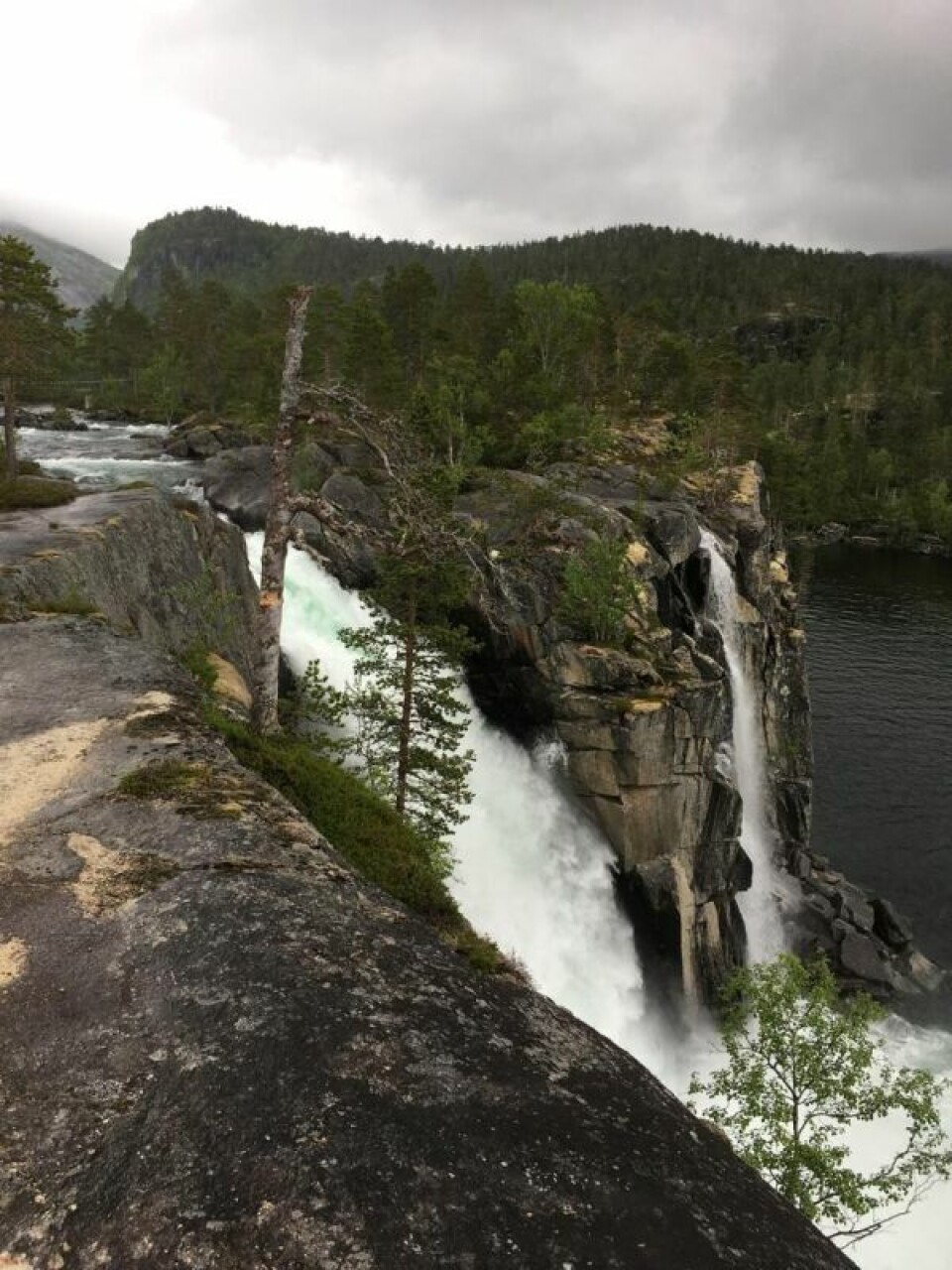 FOSSEFALL. Det er mange flotte fosser i Rago. Her er Storskogfossen ved utløpet av Storskogvatnet. FOSSEFALL. Det er mange flotte fosser i Rago. Her er Storskogfossen ved utløpet av Storskogvatnet. Foto: Foto: Eva S. Winther