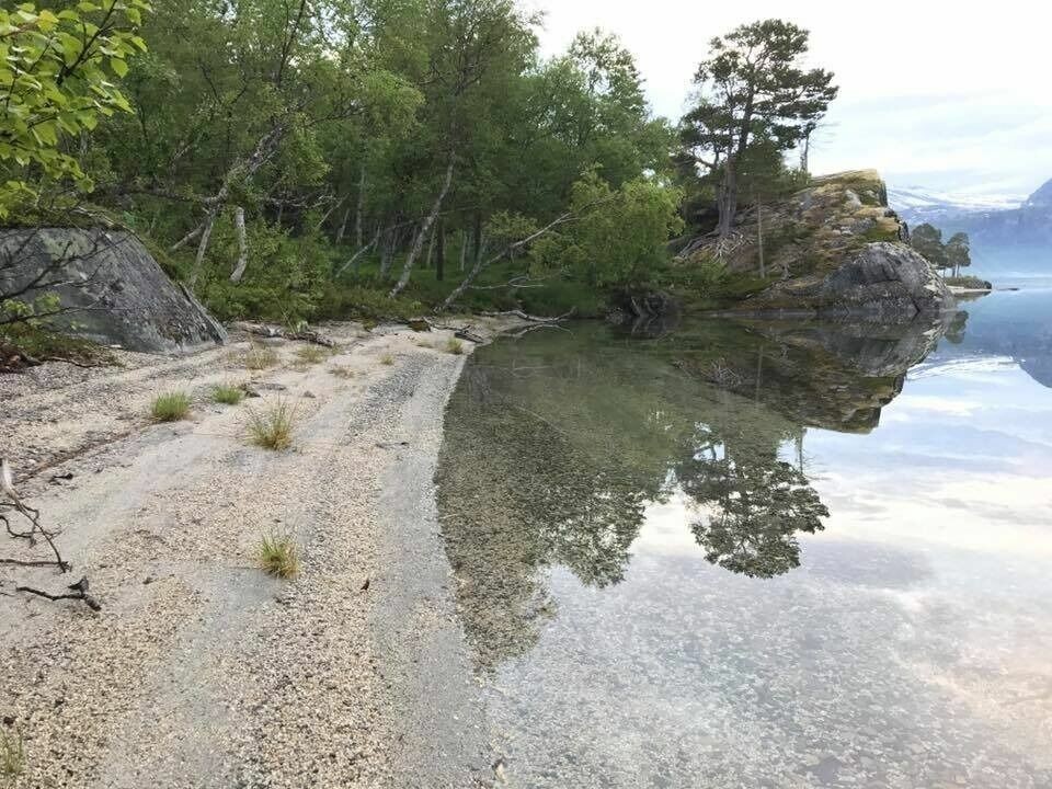 PARADIS. En rotur innover Storskogvatnet kan føre deg til en egen liten strand. PARADIS. En rotur innover Storskogvatnet kan føre deg til en egen liten strand. Foto: Maria Edvardsen