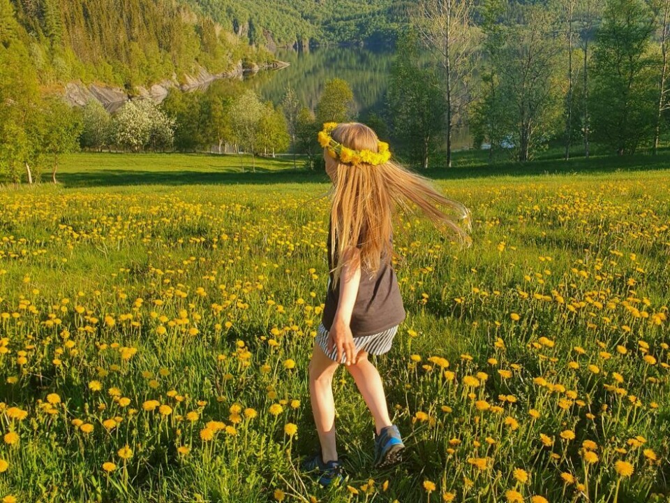 Sommerbilder- Sommer på Hjemgam på Fauske.