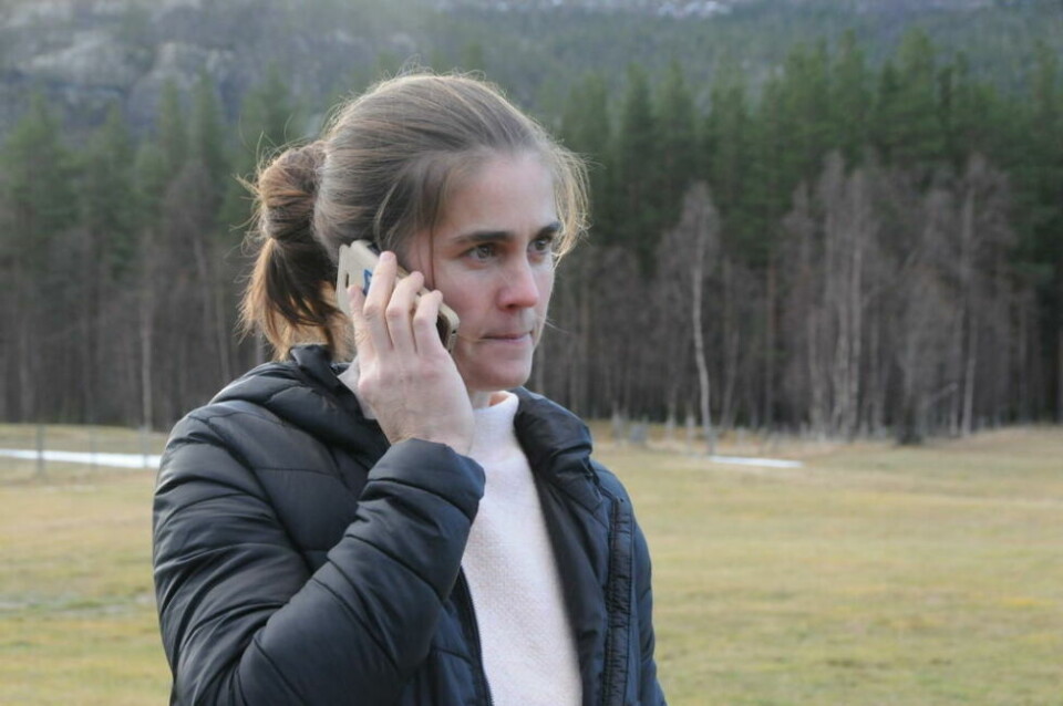 SØKER OM FELLINGSTILLATELSE. Jordbrukssjef i Saltdal kommune bekrefter at de har sendt inn søknad om skadefelling av bjørnen som har forsynt seg av sau i Saltdal. SØKER OM FELLINGSTILLATELSE. Jordbrukssjef i Saltdal kommune bekrefter at de har sendt inn søknad om skadefelling av bjørnen som har forsynt seg av sau i Saltdal. Foto: Maria Trondsen