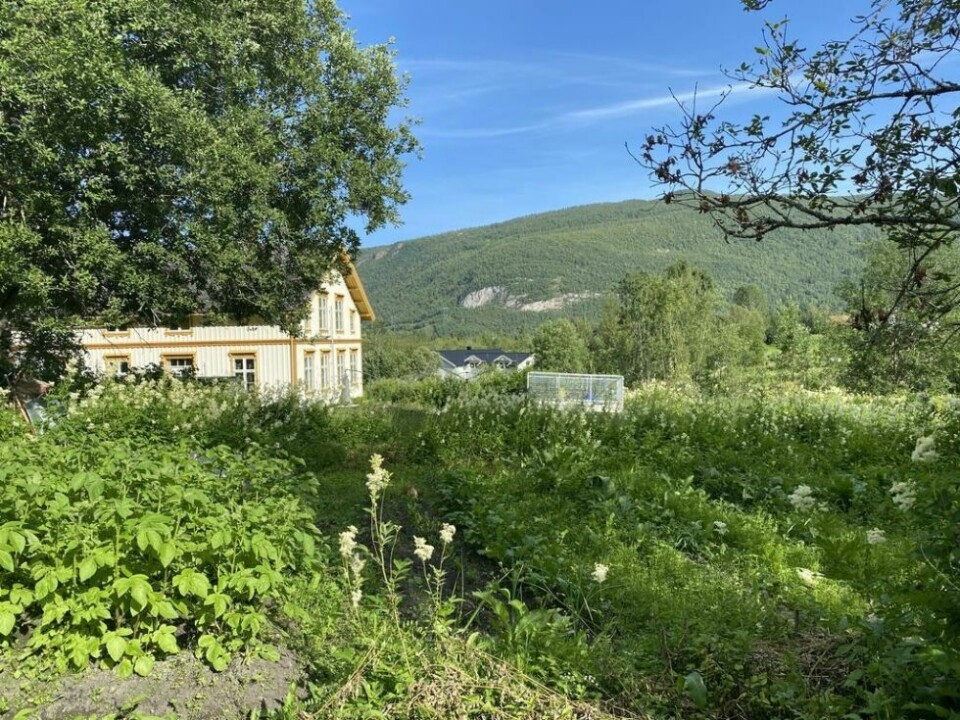 GOD PLASS. Arealet rundt prestegården er et godt egnet område for parsellhager. GOD PLASS. Arealet rundt prestegården er et godt egnet område for parsellhager.