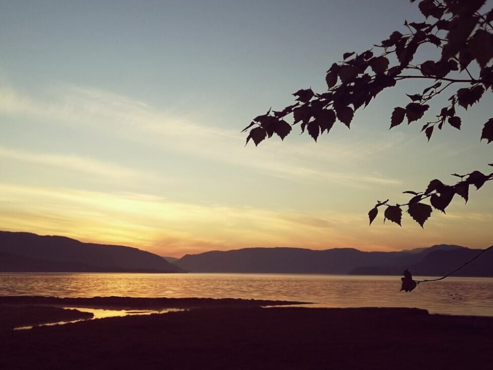 Sommerbilder- Lyse sommernetter er en fantastisk opplevelse. Dette var en vakker sommernatt på Rognan.