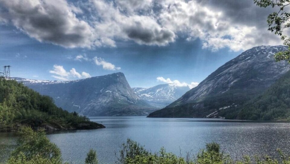 Sommerbilder- Innerst i Lappelv og Andkilvann