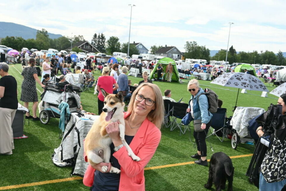 STORT. Lisbeth Annie Endresen står i spissen for det som kan regnes som ett av de største arrangementene på Fauske noen gang. STORT. Lisbeth Annie Endresen står i spissen for det som kan regnes som ett av de største arrangementene på Fauske noen gang. Foto: Stig Bjørnar Karlsen