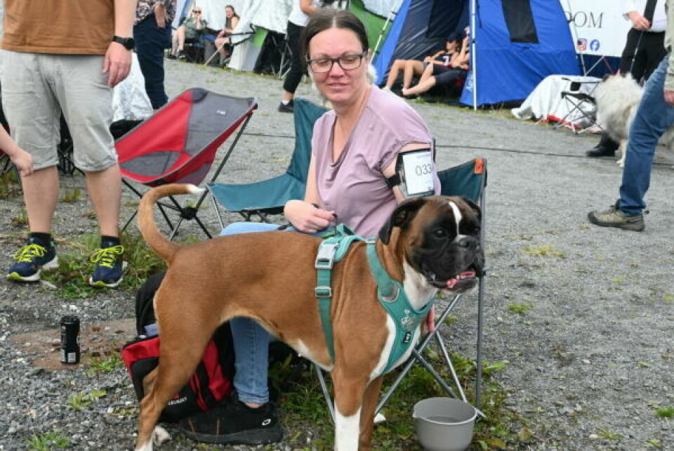 PEPSI. Lisbeth Nordeng fra Mo i Rana med boxeren Pepsi er fersk. Hun var på sin tredje utstilling. PEPSI. Lisbeth Nordeng fra Mo i Rana med boxeren Pepsi er fersk. Hun var på sin tredje utstilling. Foto: Stig Bjørnar Karlsen