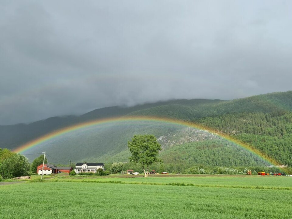 Sommerbilder- Flott regnbue på Drageid i Saltdal.