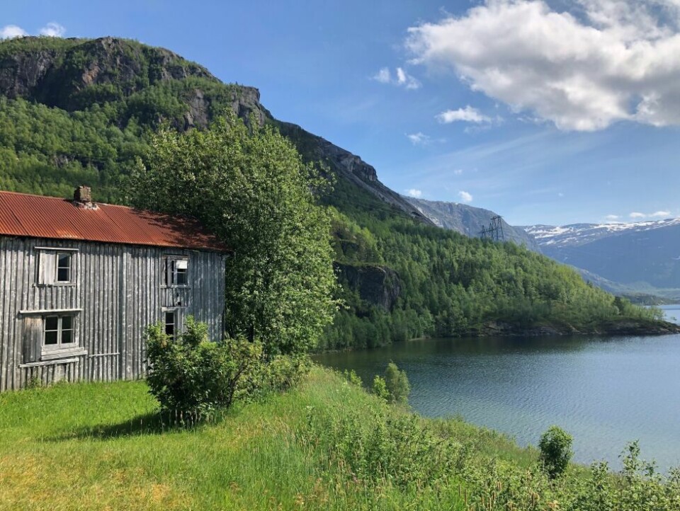 Sommerbilder- Innerst i Lappelv og Andkilvann