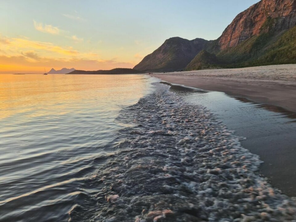 SommerbilderLangsanden, Sandhornøya.