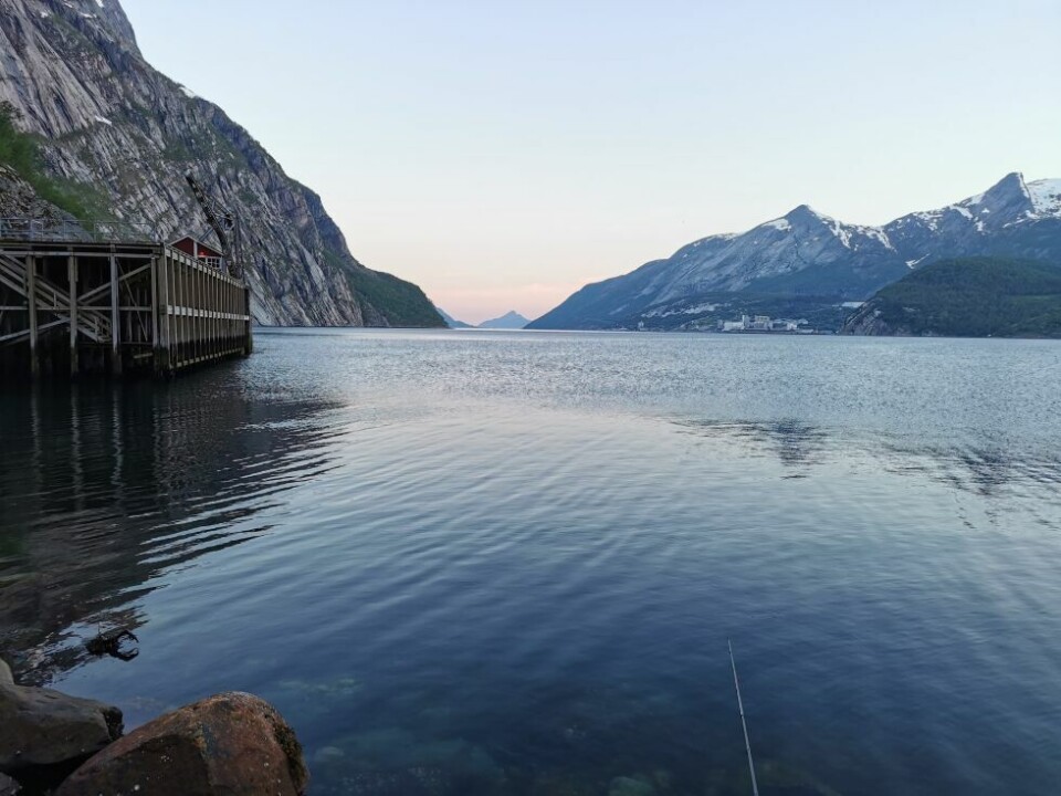 Sommerbilder- Fykan i nattero.
