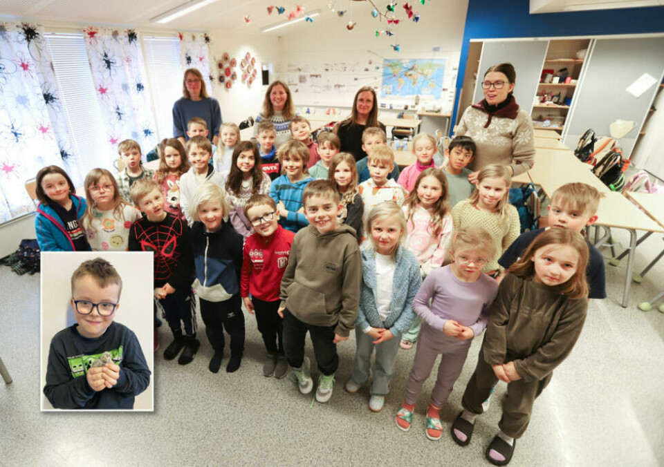 KYLLINGFORELDRE. 2. klassen på Finneid skole har hatt rugemaskin på klasserommet. Mandag ble de ”foreldre” til sin første kylling. Fremste rekke fra venstre: Elida, Eira, Isac, Noah, Kai-Viljar, Mathias, Iben, Jenny og Mille. Midterste rekke fra venstre: Christian, Dina, Emil, Helin, Otto, Tilia, Felix, Amalia, Ella og Didrik. Bakerste rekke fra venstre: Oliver, Ellie, Matti, Lukas, Elver, Tobias, Linnea og Brian. Voksne helt bak fra venstre: Anne, Laila, Victoria og Trine. Mickel (innfelt i bildet) var ikke tilstede når Saltenposten var der, men vi fikk heldigvis bilde av han før vi gikk i trykken. KYLLINGFORELDRE. 2. klassen på Finneid skole har hatt rugemaskin på klasserommet. Mandag ble de ”foreldre” til sin første kylling. Fremste rekke fra venstre: Elida, Eira, Isac, Noah, Kai-Viljar, Mathias, Iben, Jenny og Mille. Midterste rekke fra venstre: Christian, Dina, Emil, Helin, Otto, Tilia, Felix, Amalia, Ella og Didrik. Bakerste rekke fra venstre: Oliver, Ellie, Matti, Lukas, Elver, Tobias, Linnea og Brian. Voksne helt bak fra venstre: Anne, Laila, Victoria og Trine. Mickel (innfelt i bildet) var ikke tilstede når Saltenposten var der, men vi fikk heldigvis bilde av han før vi gikk i trykken. Foto: Lise Berntzen