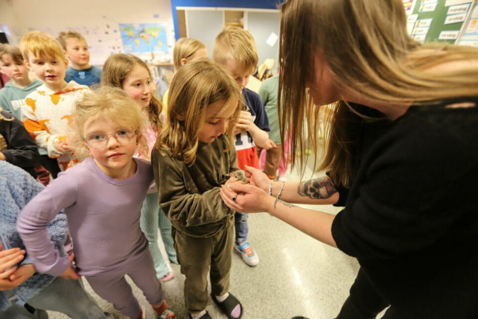 FORSIKTIG. Hønemamma Victoria Brekke instruerer elevene i hvordan de skal holde de små kyllingene. FORSIKTIG. Hønemamma Victoria Brekke instruerer elevene i hvordan de skal holde de små kyllingene. Foto: Lise Berntzen