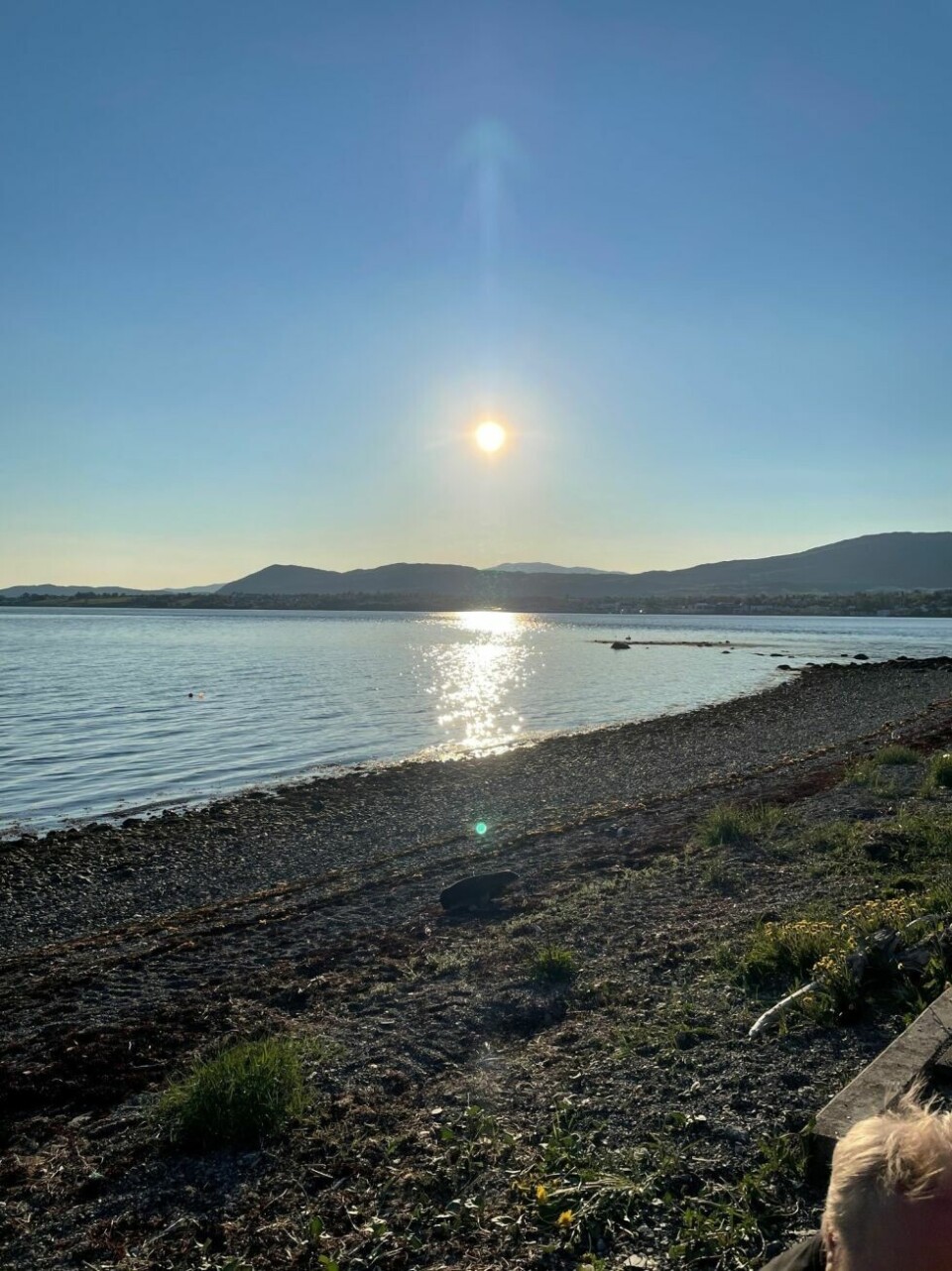 Sommerbilder- Fra Straumøyra mot Fauske lørdag 5.juni