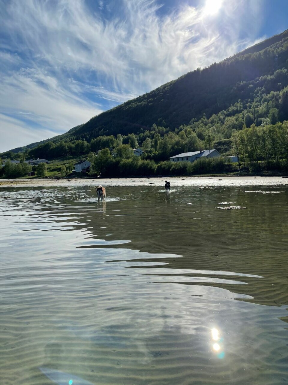 Sommerbilder- Sommer i Vik.
