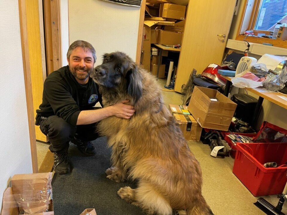 LODDEN KOLLEGA. Det første som møter kundene på Nordland bilopphugging, er Stefan Esaiassen og hunden Ahsoka. LODDEN KOLLEGA. Det første som møter kundene på Nordland bilopphugging, er Stefan Esaiassen og hunden Ahsoka. Foto: Helge Simonsen