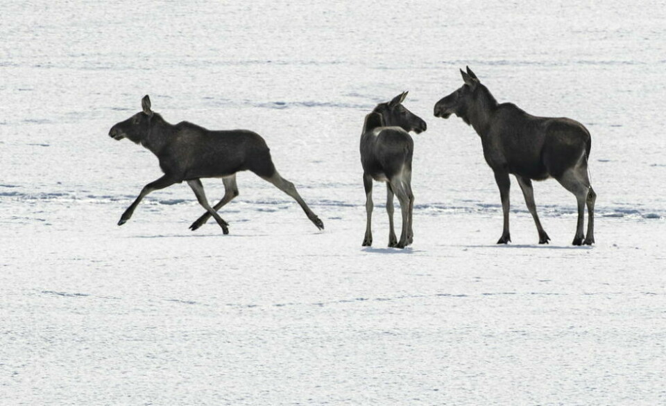 Illustrasjonsfoto: Geir Olsen / NTB Illustrasjonsfoto: Geir Olsen / NTB Foto: NTB
