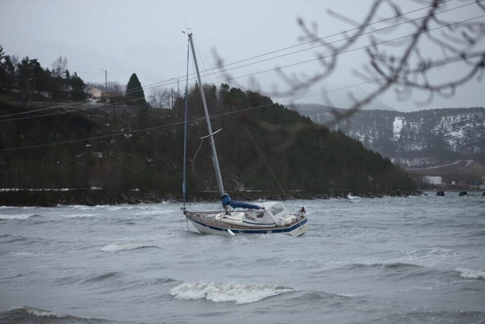 Måtte gi tapt mot stormen Foto: Lise Berntzen