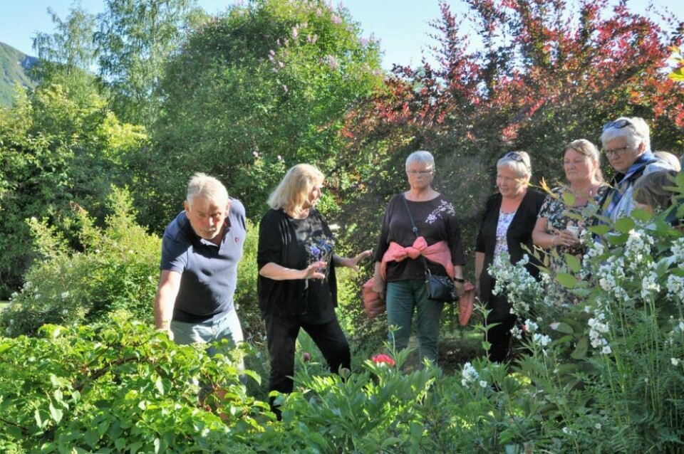 VANDRING. Oppmerksomme tilhørere under hagevandringen når Torild og Per Kristian forteller. VANDRING. Oppmerksomme tilhørere under hagevandringen når Torild og Per Kristian forteller. Foto: Lars Olav Handeland