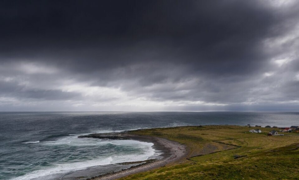 FINNMARK. Dette bildet er tatt fra Ekkerøy som ligger en liten kjøretur utenfor Vadsø. Her er det yrende fugleliv som bor i fjellsiden ned mot havet. FINNMARK. Dette bildet er tatt fra Ekkerøy som ligger en liten kjøretur utenfor Vadsø. Her er det yrende fugleliv som bor i fjellsiden ned mot havet. Foto: Flickr-bruker Skrytebane