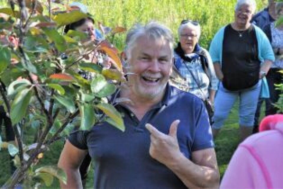 Per Kristian Almås ved et russisk epletre som gir røde epler. - Også kjøttet er helt rødt, sier han. Per Kristian Almås ved et russisk epletre som gir røde epler. - Også kjøttet er helt rødt, sier han.