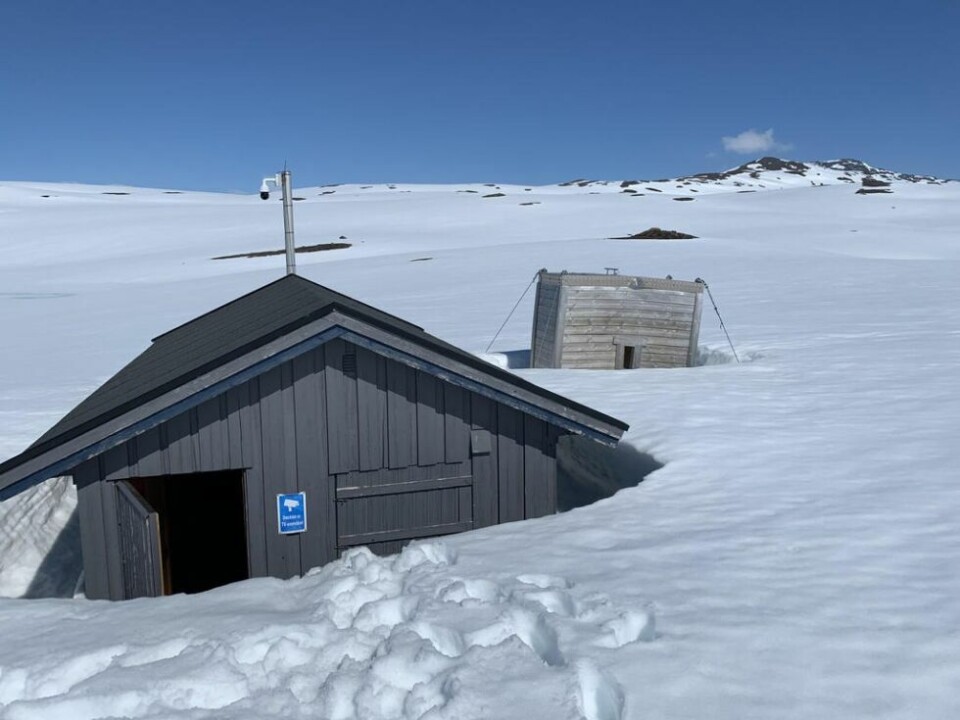 SNØ. Det er en stund til det er snøfritt rundt Rupsi lukehus. SNØ. Det er en stund til det er snøfritt rundt Rupsi lukehus. Foto: Foto: Espen Johansen