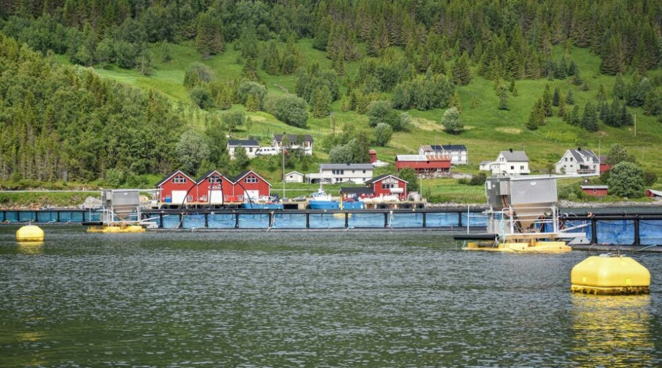 OPPDRETT. Edelfarm har hovedkontor og et av sine oppdrettsanlegg i Øksengård, en liten kjøretur fra Rognan sentrum. OPPDRETT. Edelfarm har hovedkontor og et av sine oppdrettsanlegg i Øksengård, en liten kjøretur fra Rognan sentrum. Foto: Tarjei Abelsen