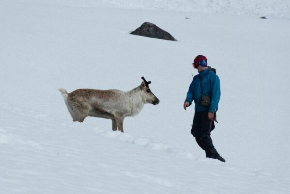 BRYTER UT. Forsøk på verbal overtalelse på å bli med videre. Det gikk ikke. BRYTER UT. Forsøk på verbal overtalelse på å bli med videre. Det gikk ikke. Foto: Inger Maria Sjöberg