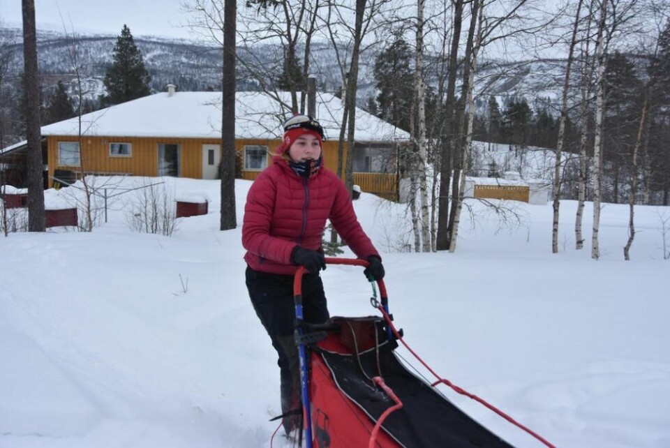LÅNTE HUNDER. Mia Alm (14) holdt på å måtte reise hjem fra Finnmarksløpet uten å få starte, fordi hennes hunder ikke hadde rett vaksine. Men nå får hun stille med lånte hunder fra andre hundekjørere. Bildet er tatt hjemme på Røkland. LÅNTE HUNDER. Mia Alm (14) holdt på å måtte reise hjem fra Finnmarksløpet uten å få starte, fordi hennes hunder ikke hadde rett vaksine. Men nå får hun stille med lånte hunder fra andre hundekjørere. Bildet er tatt hjemme på Røkland. Foto: Sylvia Bredal