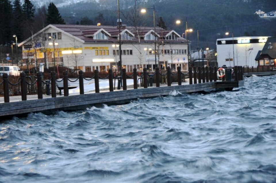 HØY VANNSTAND. Det ventes ekstremt høy flonivå det kommende døgnet. HØY VANNSTAND. Det ventes ekstremt høy flonivå det kommende døgnet. Foto: Bjørn L. Olsen