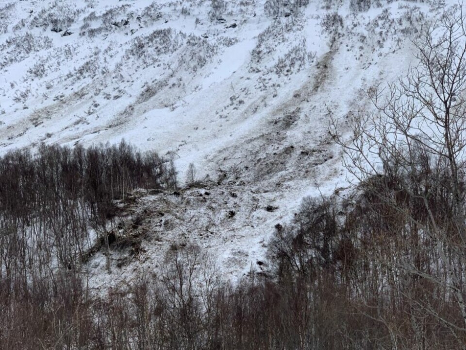Ras i JunkerdalRas i Junkerdal