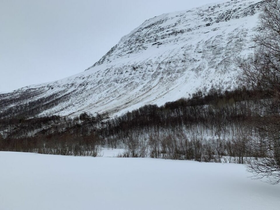 Ras i JunkerdalRas i Junkerdal
