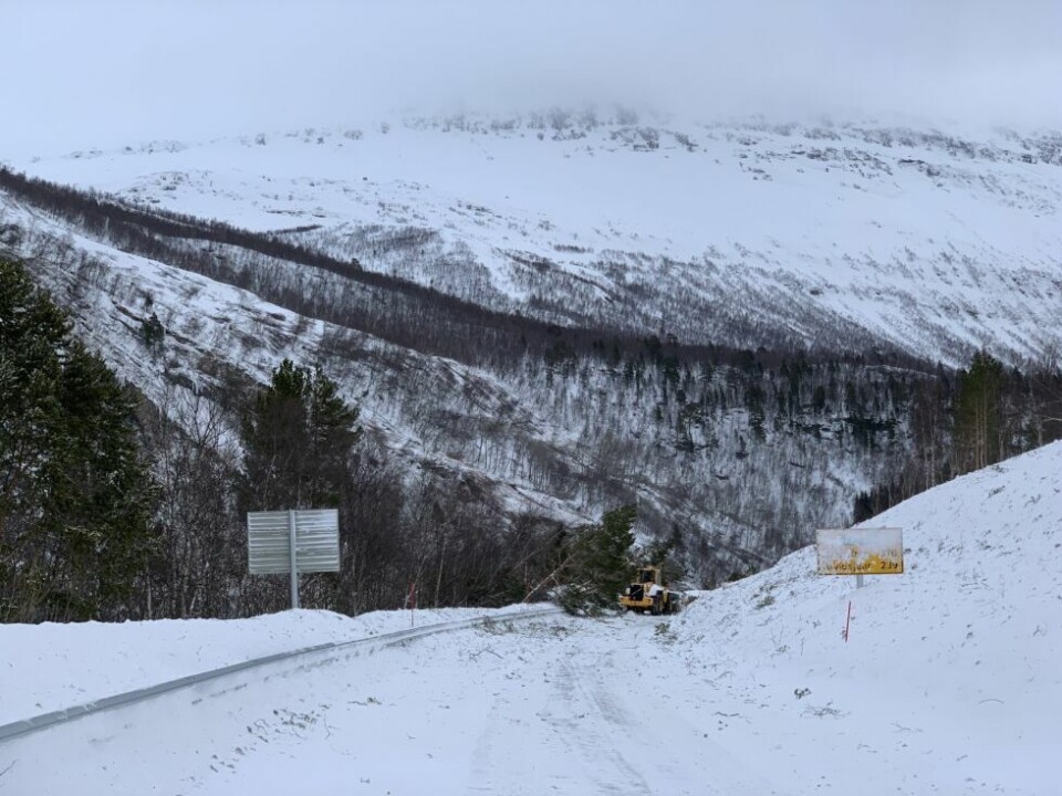 Ras i JunkerdalRas i Junkerdal