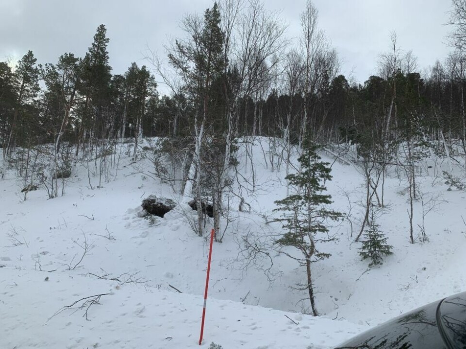 Ras i JunkerdalRas i Junkerdal