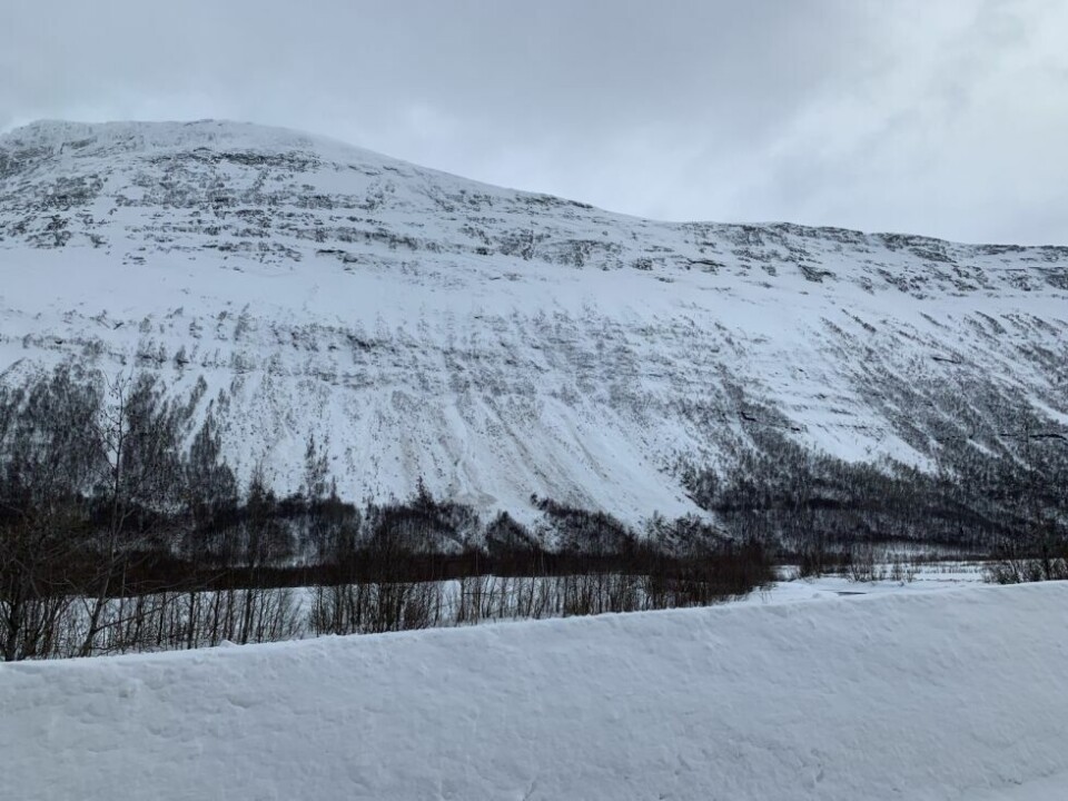Ras i JunkerdalRas i Junkerdal