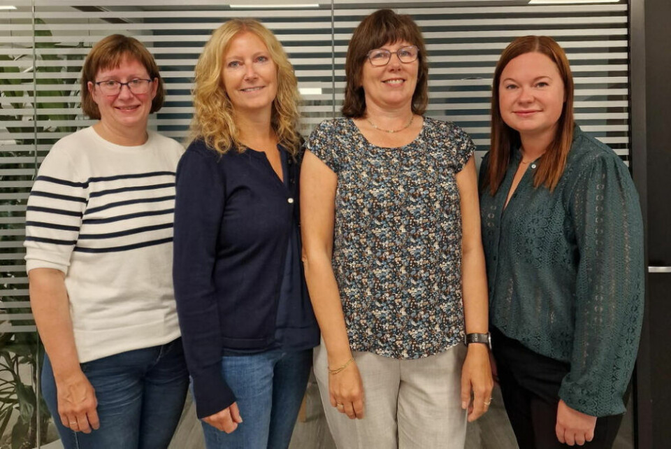 FÅR NYE EIERE. Fra venstre: Lisbeth Karlsen, Vibeke Johansen, Iren Tverå og Jannike Moen i Flex. FÅR NYE EIERE. Fra venstre: Lisbeth Karlsen, Vibeke Johansen, Iren Tverå og Jannike Moen i Flex. Foto: Flex