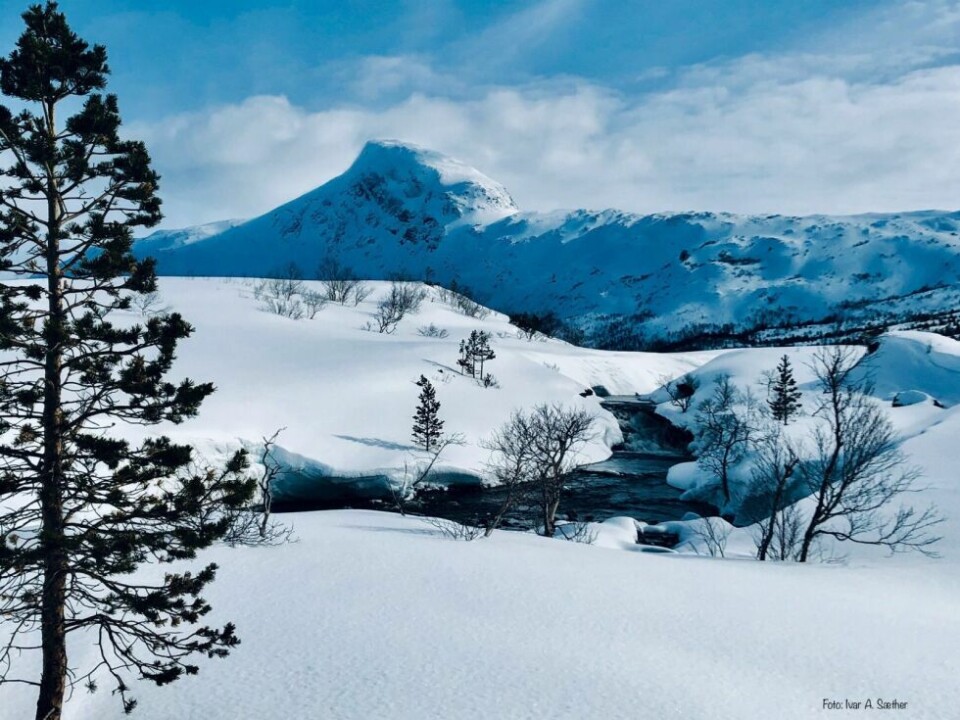 Bilder fra årets påske!GODVÆR. Ivar A. Sæther ha sendt oss dette godværsbildet fra Ramskjell i Beiarn, påskeaften.