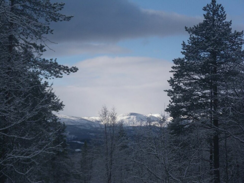 Bilder fra årets påske!OPPHOLD. Finneidlia skjærtorsdag morgen mellom snøbygene.