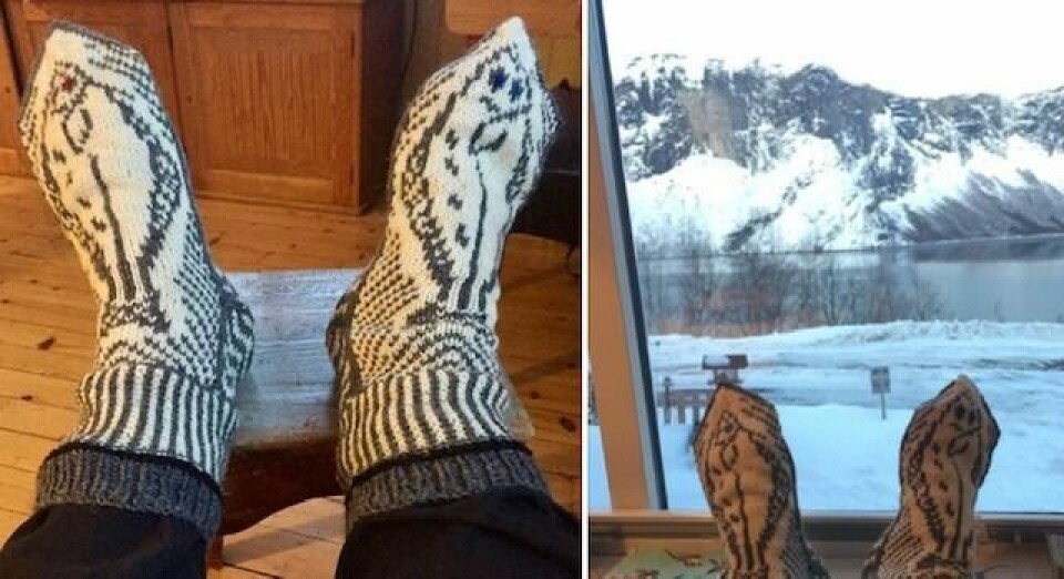 Bilder fra årets påske!PÅSKEDRØM. Sitter inne og drømmer om den store kveita