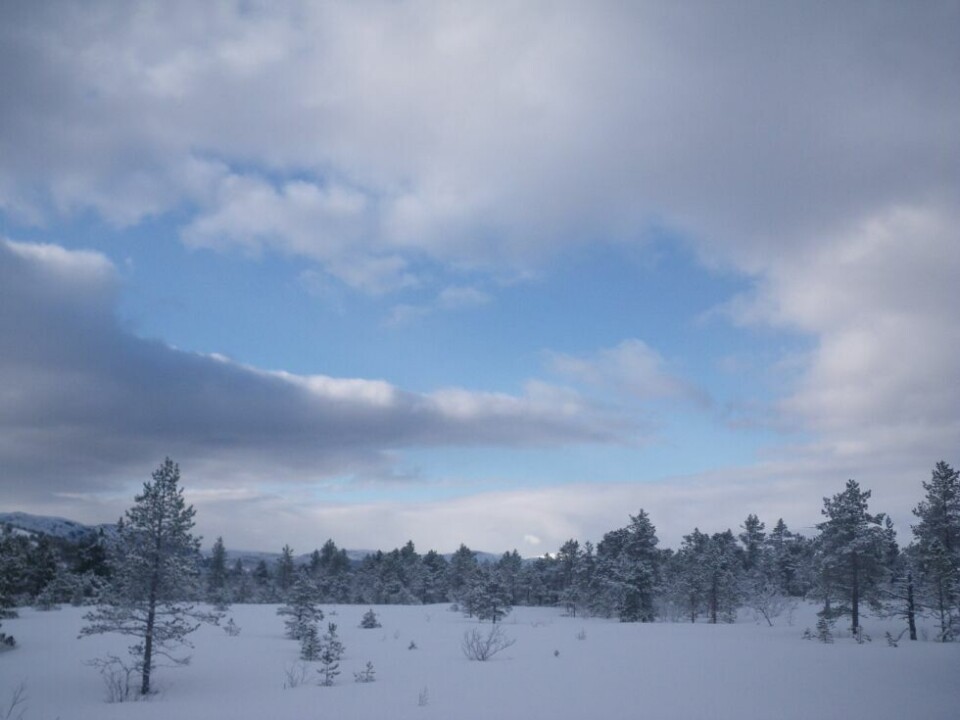 Bilder fra årets påske!SKJÆRTORSDAG. Finneidlia skjærtorsdag morgen mellom snøbygene.
