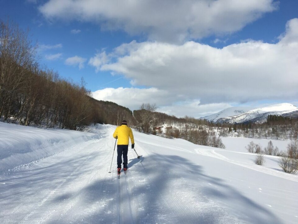 Bilder fra årets påske!HARE. På tur med «påskehare».