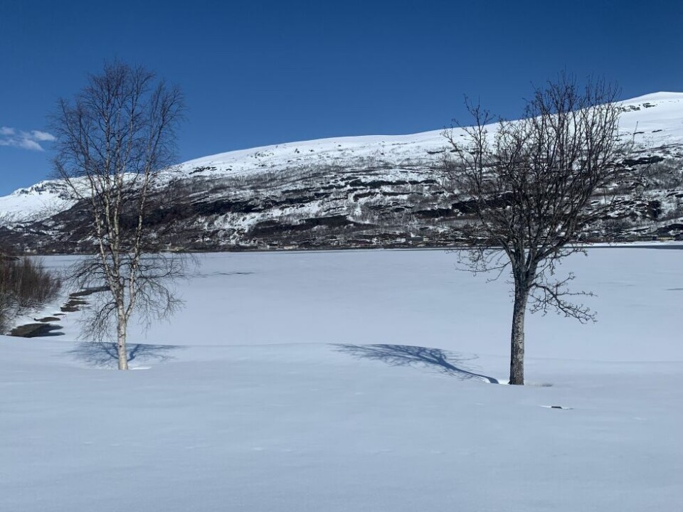 17. mai 2020Kalenderen viser midt i mai, men snøen holder stand i Sulitjelma.