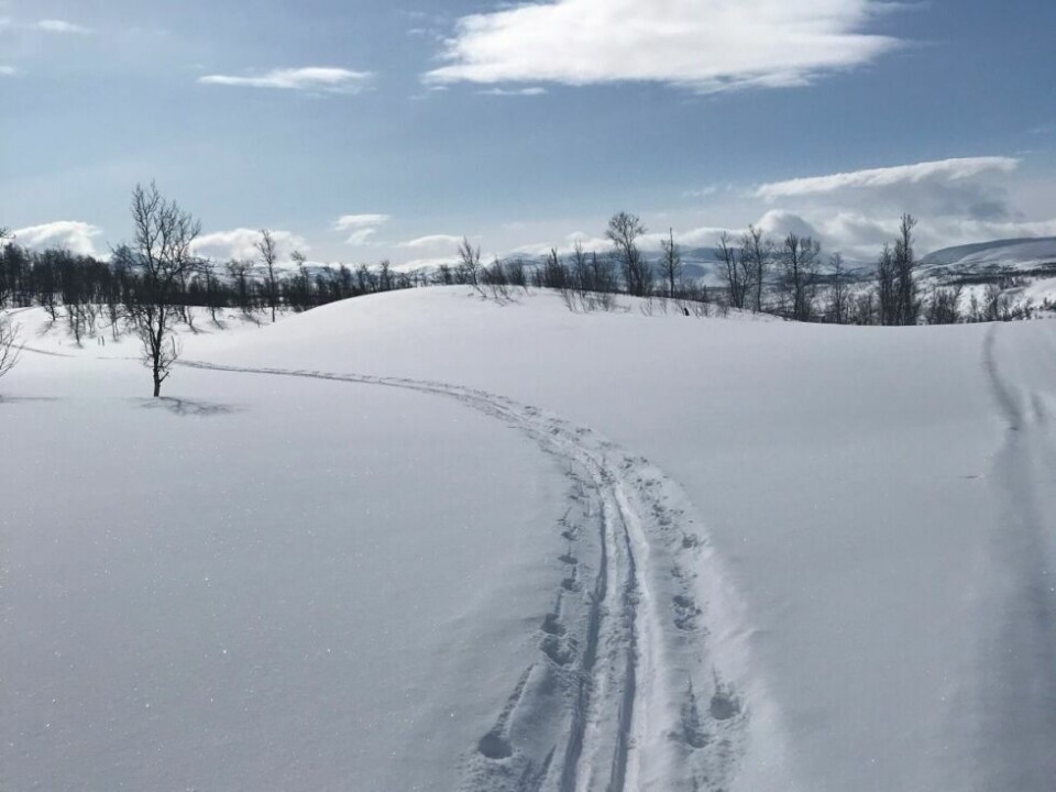 Bilder fra årets påske!Nydelig skiføre på påskeaften i Sulis.