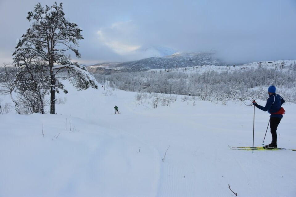 Her er er en del av ny trasé i løypenettet rundt senteret. Her er er en del av ny trasé i løypenettet rundt senteret. Foto: Sylvia Bredal