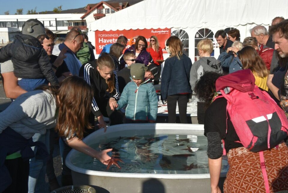 Salten matSalten matfestival