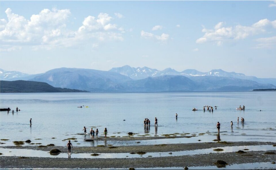 Nordvika en julidag i fjorsommer. Nordvika en julidag i fjorsommer. Foto: Jaime Aparicio